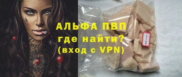 гидра Пестово
