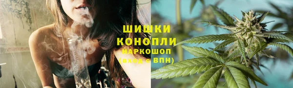 гидра Пестово