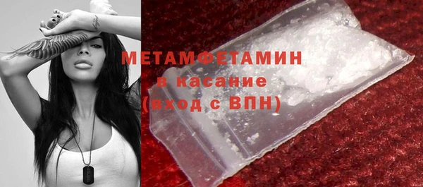гидра Пестово