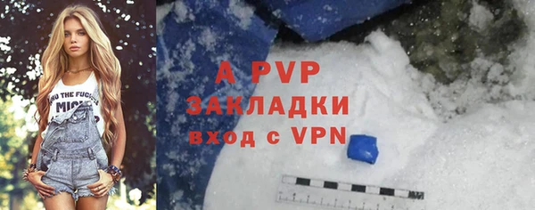 СК Зеленодольск